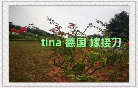 tina 德国 嫁接刀